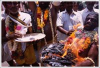 tamil nadu festiwal