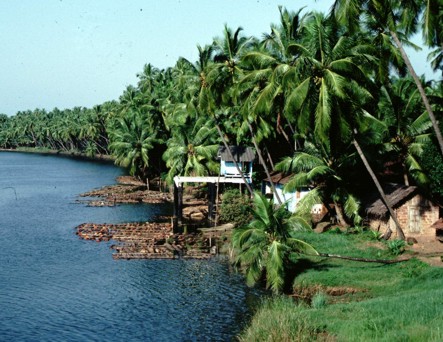 Wycieczka po Kerala, Indie Południowe