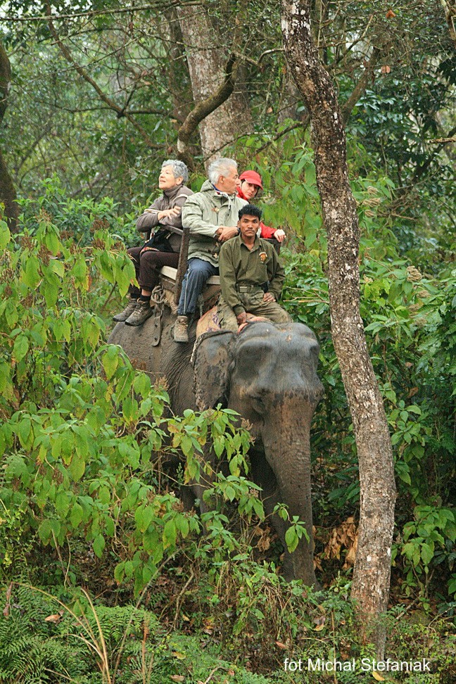 Safari na słoniach w rezerwacie w Nepalu